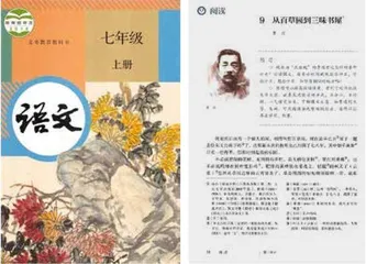 百年顶流3