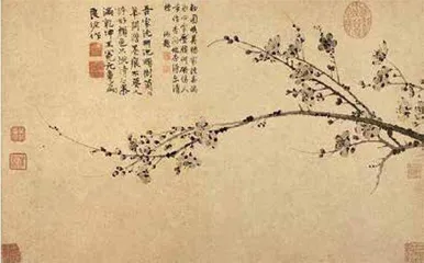杨琪,讲一堂中国审美通识课4