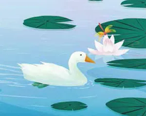 鸭子的两个“秘密武器”
