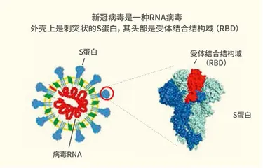 高福:向科学要答案1