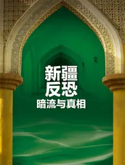 新疆反恐，暗流与真相