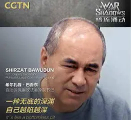 新疆内鬼，分裂手段从“武”到“文”