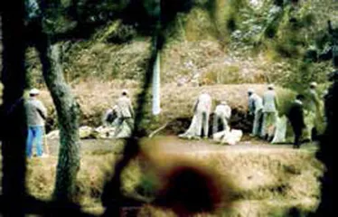 “黑狱”福利院,韩国版奥斯维辛集中营2