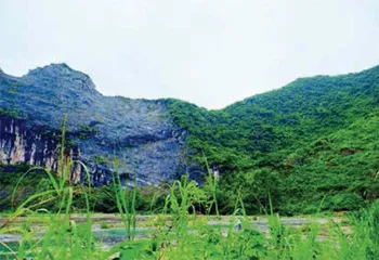 峭壁“植绿人”3