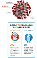 解读中国新冠疫苗3