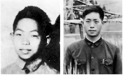 走过“八十一难”,成为袁隆平1