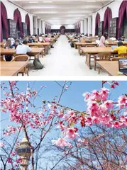 清华学生,开“摸鱼课”自减压力2