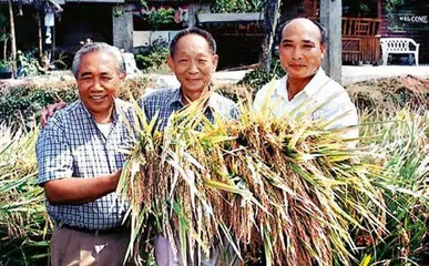走过“八十一难”,成为袁隆平5
