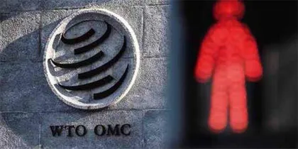 “中国开放的大门不会关闭,只会越开越大”5