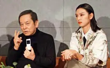 梅艳芳:似是故人来2