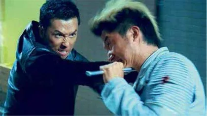 甄子丹:英雄老矣,尚能打否3