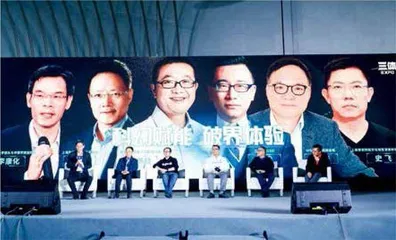 严锋,文学教授玩物有志3