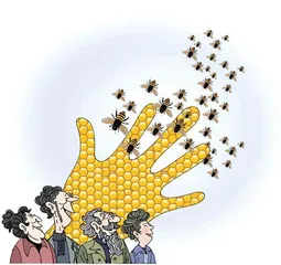 蜂群里的经济学