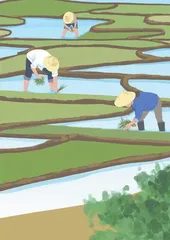 意想不到的后果