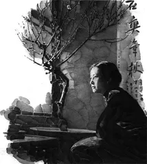 五四婚姻