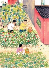 菜园