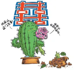 金鸡纳霜改写历史
