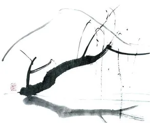 细推物理,何须浮名5