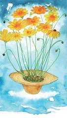 节气与物候1