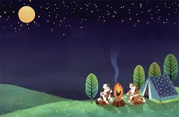 喵,我就喜欢这样的自己2