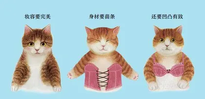 喵,我就喜欢这样的自己3