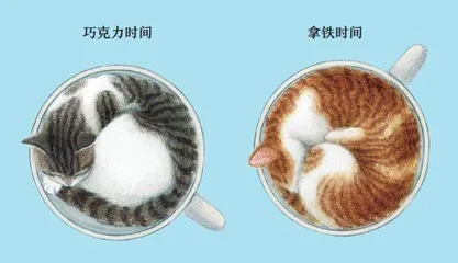 喵,我就喜欢这样的自己7