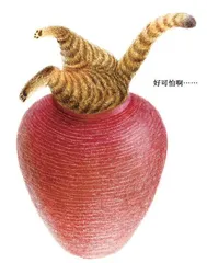 喵,我就喜欢这样的自己12