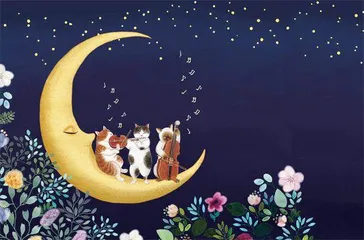 喵,我就喜欢这样的自己13