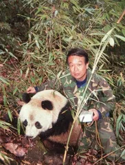 “熊猫爸爸”潘文石