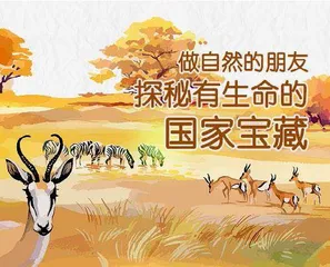 融媒传播展魅力,生态保护入民心7