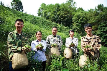 广西:关爱退役军人 续写尊崇荣光2