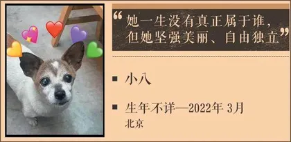 对不起,我先走了1