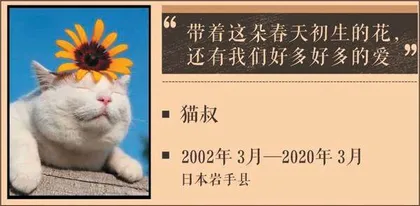 对不起,我先走了2