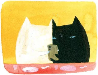 人生甚苦，有时慕猫