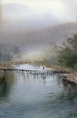 雨