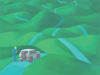 完美曲线