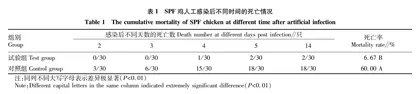 鸡心包积液-肝炎综合征卵黄抗体对机体排毒的影响