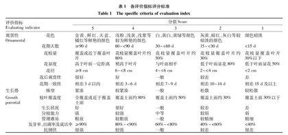 草花新品种在成都地区的引种试验及应用评价