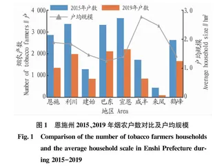 恩施山区现代职业烟农队伍培育及发展对策