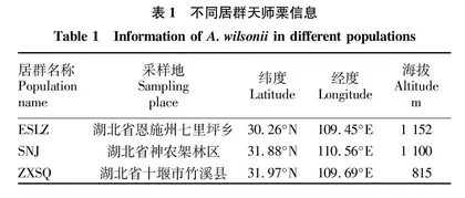 天师栗幼苗光合特性研究