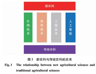 新农科背景下5G+人工智能助力的“一村一”农民大学生开放教育新模式探索
