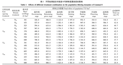 行距和密度配置对连麦8号群体质量及产量的影响