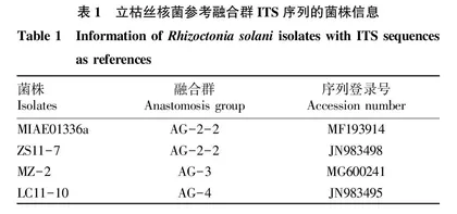贵州烟区靶斑病病原菌的融合群研究与戊唑醇室内毒力测定