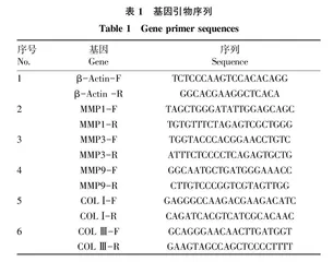 水解驴胎盘提取物对UV诱导皮肤细胞损伤的保护作用