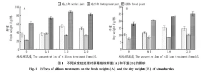 硅对立体无土栽培草莓生长的影响