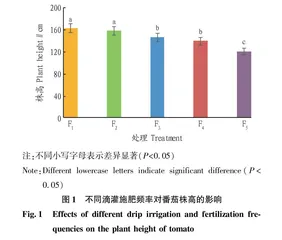 滴灌水肥一体化施肥频率对日光温室番茄生长指标及产量的影响
