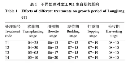 移栽期对龙江911生长发育和产质量的影响