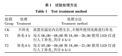 功能性LED灯补光对微型月季越夏生长的影响