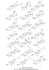 水麻治疗疮毒的现代药理作用研究