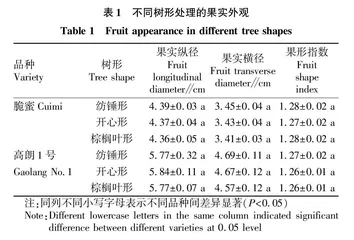 不同树形对衡阳大棚栽培台湾青枣结果的影响